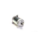 Ricks starter motor