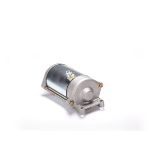 Ricks starter motor