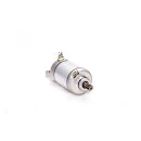 Ricks starter motor