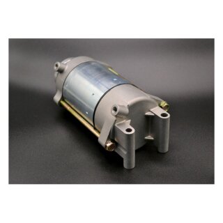 Ricks starter motor
