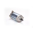 Ricks starter motor