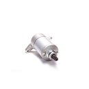 Ricks starter motor