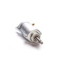 Ricks starter motor