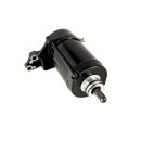 Ricks starter motor