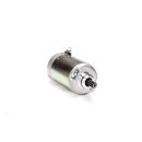 Ricks starter motor