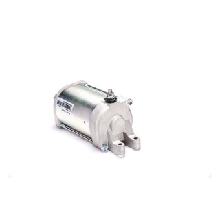 Ricks starter motor