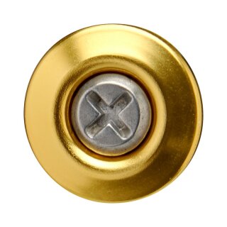 Biltwell Helmet Gen2 Hardware Kit gold