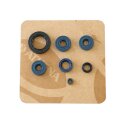 Athena, engine oil seal kit