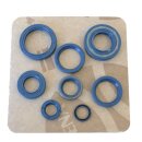 Athena, engine oil seal kit