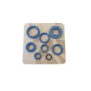 Athena, engine oil seal kit