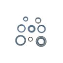 Athena, engine oil seal kit