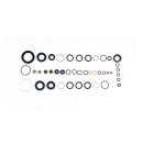 Athena, engine oil seal kit