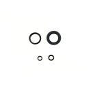Athena, engine oil seal kit