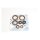 Athena, engine oil seal kit