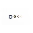 Athena, engine oil seal kit
