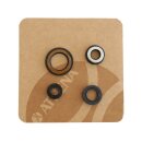 Athena, engine oil seal kit