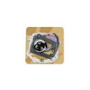 Athena, top end gasket kit