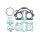 Athena, top end gasket kit