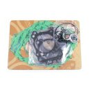 Athena, complete motor gasket kit
