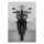 NC VStreamÂ® windshield, light tint