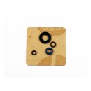 Athena, engine oil seal kit