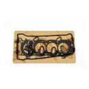 Athena, top end gasket kit