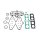 Athena, top end gasket kit