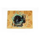 Athena, complete motor gasket kit