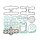 Athena, complete motor gasket kit