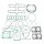 Athena, complete motor gasket kit