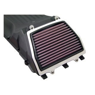 DNA Stage 2 air box filter & cover