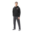 Dickies Ruston hoodie black