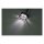 Module 2 LED position lights. Smoke lens, ECE