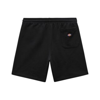 Dickies Champlin short black