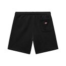 Dickies Champlin short black