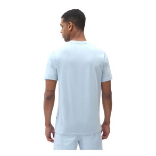 Dickies Icon Logo T-shirt fog blue