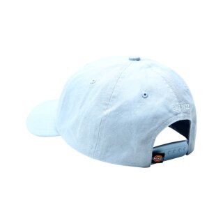 Dickies Hardwick cap brown fog blue