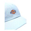 Dickies Hardwick cap brown fog blue