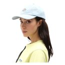 Dickies Hardwick cap brown fog blue