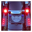 Custom Dynamics, LED boltz. Red LEDs. Black