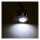 Custom Dynamics, LED boltz. Amber/White LEDs. Black