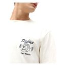 Dickies Halma T-shirt ecru
