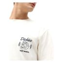 Dickies Halma T-shirt ecru