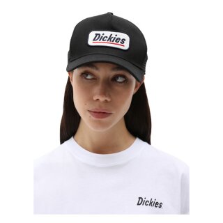Dickies Bricelyn cap black