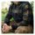 Lumbershell jacket black/olive