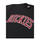 Dickies Aitkin sweatshirt black