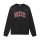 Dickies Aitkin sweatshirt black