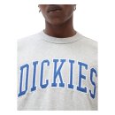 Dickies Aitkin sweatshirt grey melange