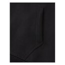 Dickies Harrison hoodie black