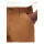 Dickies DC Utility pants brown duck